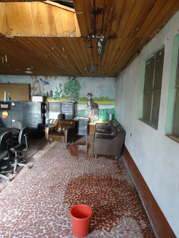 roof